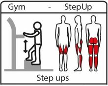 Robinia fitnesstoestel StepUp oefeningen