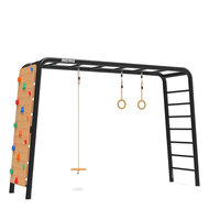 PlayBase Berg Speeltoestel Large met Klimwand en Klimrek inclusief Schotelschommel en Schommelringen