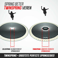 Verschil tussen solo veren en twinspring