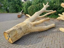 Speelboom 7