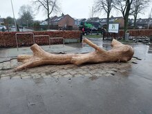 Speelboom 2
