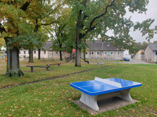 Betonnen Tafeltennistafel Afgerond Blauw in park