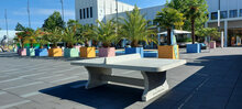 Pingpongtafel Naturel Beton met Afgeronde Hoeken tussen de palmbomen