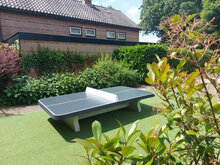 Betonnen Tafeltennistafel Antraciet Laag met Afgeronde Hoeken in achtertuin