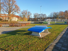 Betonnen Voetvolleybaltafel Blauw in park
