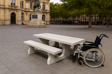 Naturel Betonnen Picknickset Standaard Rolstoeltoegankelijk met standbeeld op achtergrond