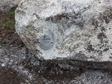 Type plaatje Zwerfkei 100 - 120 cm