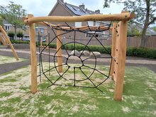 Robinia Klimkubus Openbaar (Serie 35)