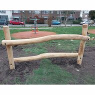 B-Play Robinia Dwarsbalken met Stappalen Openbaar - Module 5