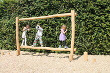 Speelplezier op het Eco-Play Robinia Zebra toestel