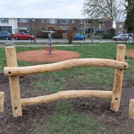 B-Play Robinia Dwarsbalken met Stappalen Openbaar - Module 5