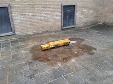 Sfeerfoto 1 Robinia balanceerbalk Dierenpret - krokodil