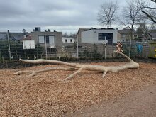 sfeerfoto boom plat speeltoestel openbaar
