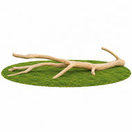 Robinia Speelboom Aanbieding