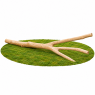 Robinia Speelboom Openbaar