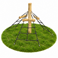 Robinia Klimtoestel Piramide Openbaar (Serie 29)