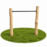 Robinia duikelstang kopen zwart